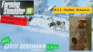 FS25 - M&oacute;j Hof Bergmann 1.3 - #11 Nadal drewno.