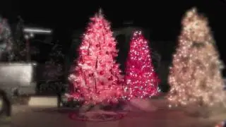 O Tannenbaum & Away In A Manger, Wurlitzer Theatre Organ