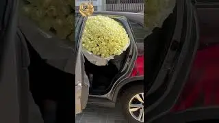 White Roses - 200 Roses Bouquet | Richrose.ae