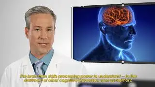 The Ear-Brain Connection