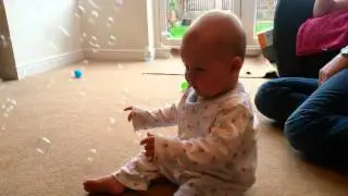 Baby laughing hysterically at irish setter dog