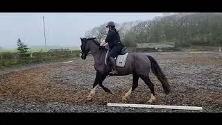 Helen Murphy riding M for Eriders main arena winter championship 2024- elementary test 2