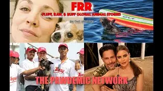 FRR 92: Sofia & Joe Split, Who Gets Dog? Kaley Cuoco Warns Pet Parents, Sailor & Dog Rescued at Sea