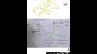 Anion Gap - Quick Understand Biochemistry