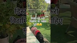 मुझे बचाओ😝😝😝#dog  #dogshorts  #funny  #love #morning