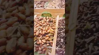 This is St. food in Thailand 🦗🦟🐜🇹🇭