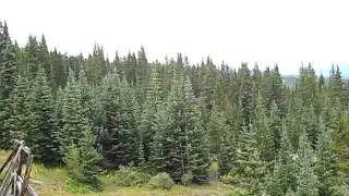 Ten Mile Range