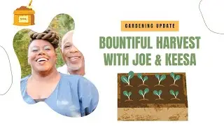 Bountiful Harvest with Joe  and Keesa Garden Update