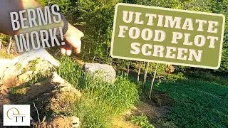 #34 Best Food Plot Screen - Dirt Berms Work