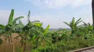 Village