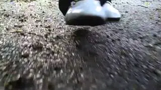 Flip = Pluggs Phantom 052     'The Walk'