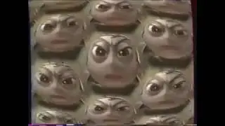 Debut De Vhs Maitre Le Groupe 10 1999