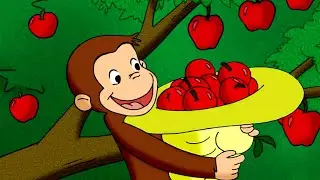 El mono recolector de manzanas | Jorge El Curioso En Espa&ntilde;ol