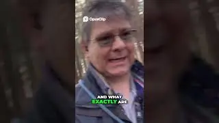 История, сложность и влияние налогового кодекса Великобритании: объяснение.