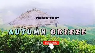 Calm Peaceful  Relaxing Foggy Morning Music | Autumn Breeze
