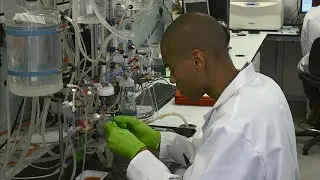 The Hatter Cardiovascular Institute, University College London