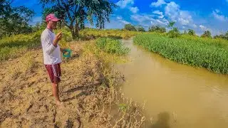 Pescando con tres carnadas gusano, lombriz, y corazón de res arroyo de aguas turbias