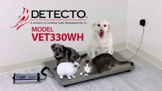 Detecto VET330WH Veterinary Scale - Demo Video
