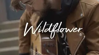 Derek Sammak - Wildflower