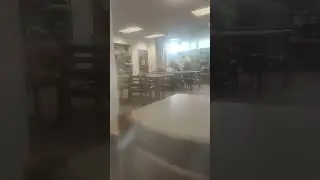 Enjoying quality quiet time in the Santa Monica Library