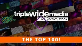 The Top 100 - a Sample from TripleWide Media