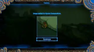 BOTW Bingosync Goal Timing: Sunshroom Sensing