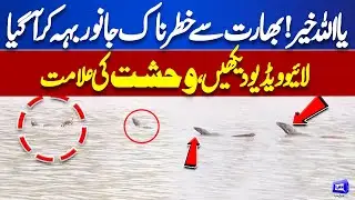 Ravi River Updates | Shocking Scene! Dangerous Animal Comes From India | Live Video | Dunya News