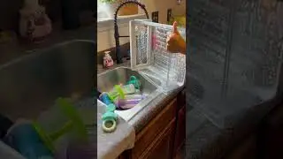 What's Your Fav Cleaning Style? ASMR, Voice Over, or Music? Let Me Know!
