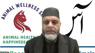 Be Animal Wellness Partner