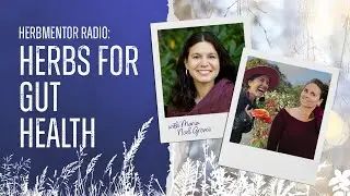 HerbMentor Radio: Maria No&euml;l Groves &mdash; Herbs for Gut Health