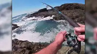Rock Fishing Shelter Cove, CA