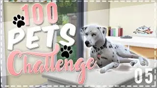The Sims 4 | 100 Pets Challenge // Vet Checkup! [05] | Mousie