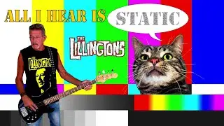 All I Hear is Static - The Lillingtons, bass cover