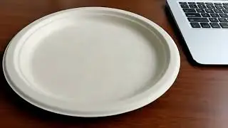 9 inch Sushi Plate  #ecofriendlypackaging #compostablepackaging