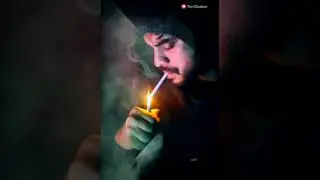 Theevandi Latest Whatsapp Status | Thaa Thinnam | Theevandi Movie | Tovino Tomas | The EQualizer