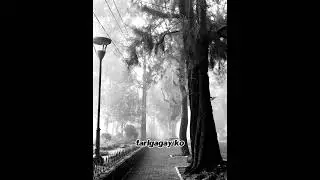 DANAN KO by Desiree Aglasi and Arnold Valle with lyrics