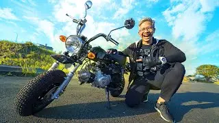 BELI MOTOR MINI!! MOTOR GORILLA!!!