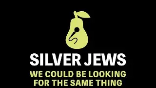 Silver Jews - We Could Be Looking for the Same Thing (Karaoke)