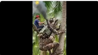 दम है तो हसी रोक के दिखाओ 😂😂 funny shots का Comady Video | shortvideo funny Videos