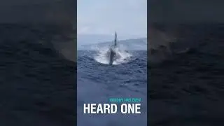 Class Spotlight: Submarines