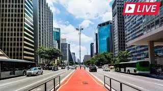 Av. Paulista - C&acirc;mera Ao Vivo