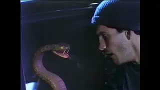Protected By Viper - Car Alarm Commercial 1992 [HD 60fps]