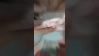 পুলি পিঠা