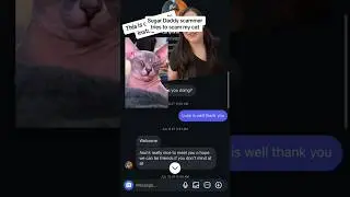 Scammer wants my hairless cat to be his sugar baby? #sphynxcat  #scammer