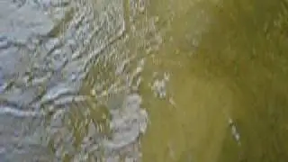 Horgaszok