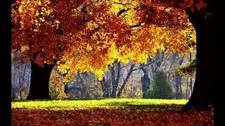 Burnt Embers (Indian Summer)