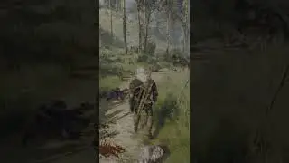 The Witcher 3 Wild Hunt - Traversing the Game World Short 3 - Broken Bridge Encounter #shorts #games