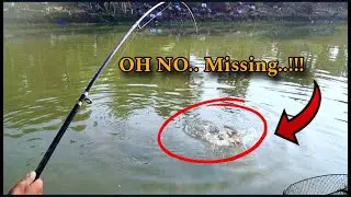 SIMPLE TECHNIQUES FOR SINGLE HOOK FLOAT FISHING | mastering small single hook fishing #hookfishing