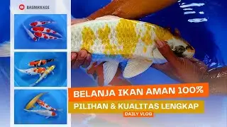 ‼️WOW‼️ Paket antep antep,, mulai dari gosanke sampai antikan ada di sini 🥰