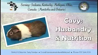 Cavy: Husbandry & Nutrition - Mary Lou Eisel - July 17, 2020